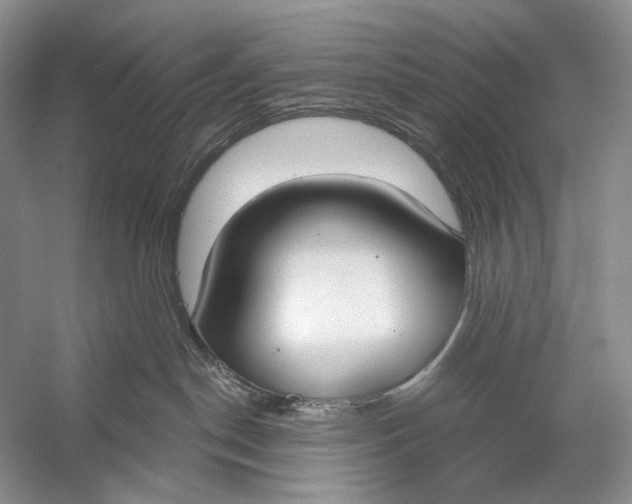 X0000056350190200509161811