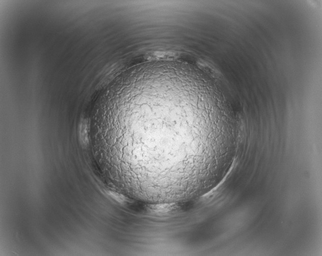 X0000056350191200509161811