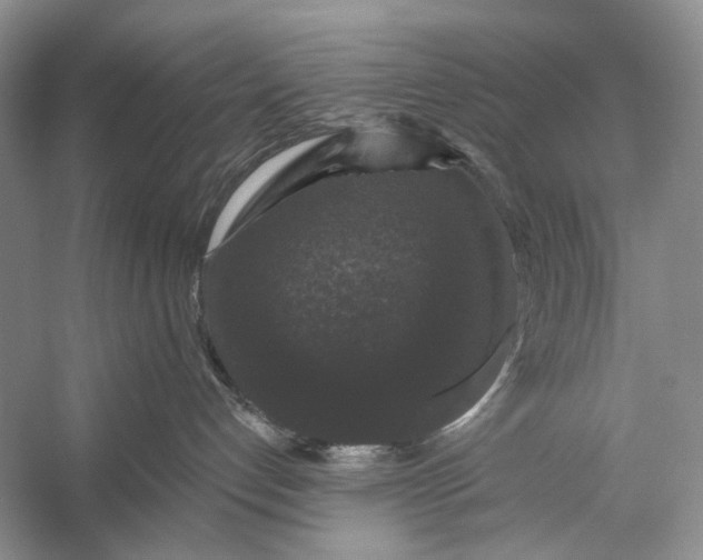 X0000056350192200509161812