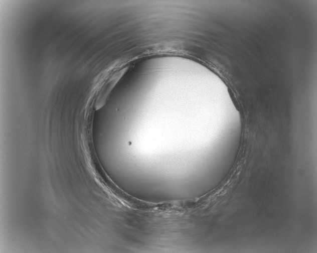 X0000056350193200509161811