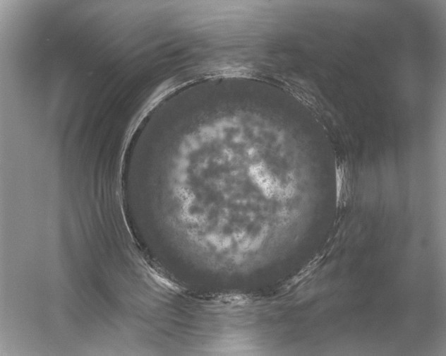 X0000056350195200509161811