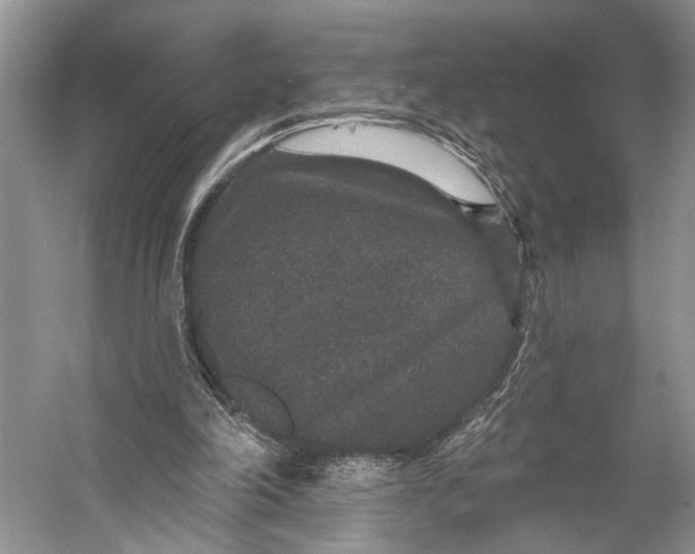 X0000056350198200509161811