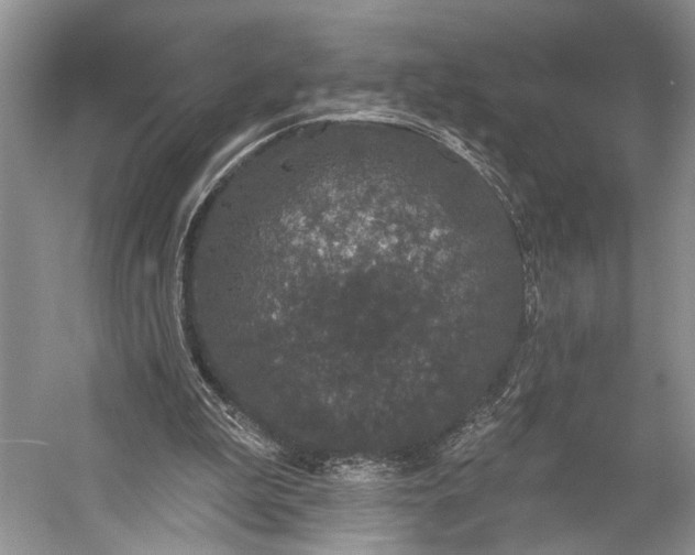 X0000056350199200509161811