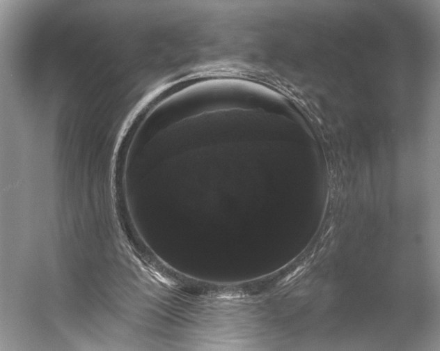 X0000056350200200509161811