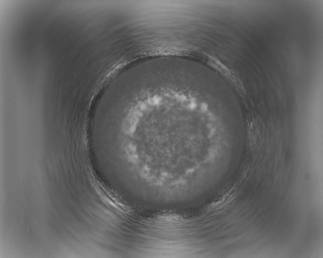 X0000056350203200509161810