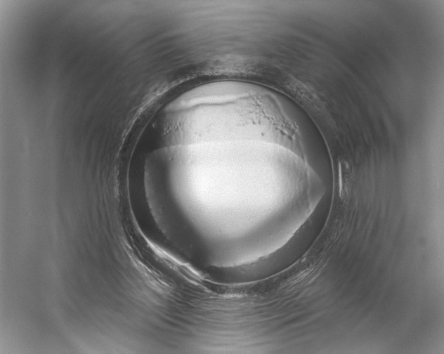 X0000056350204200509161810