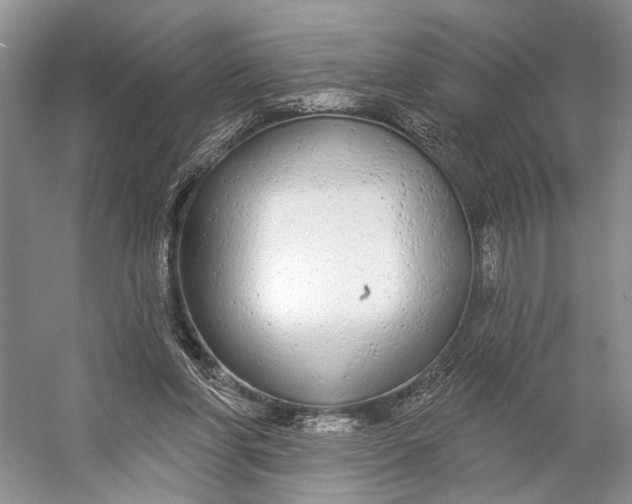 X0000056350206200509161810