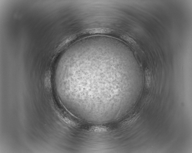 X0000056350207200509161810