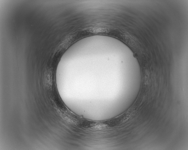 X0000056350210200509161810