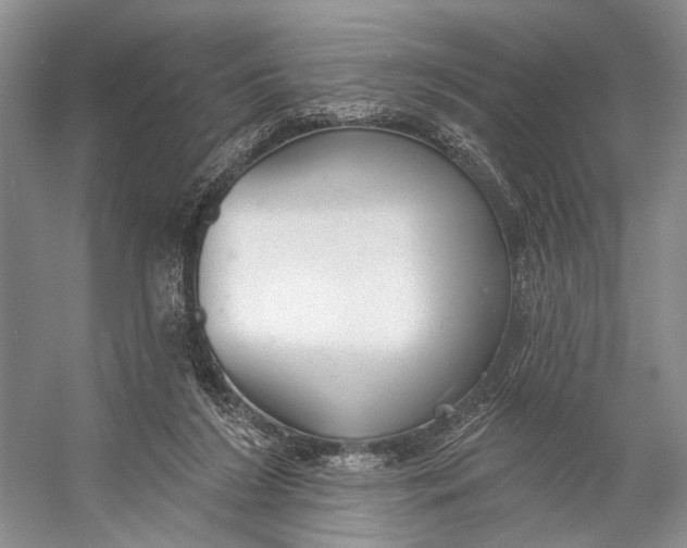 X0000056350212200509161810