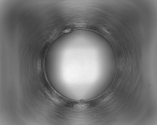 X0000056350213200509161810