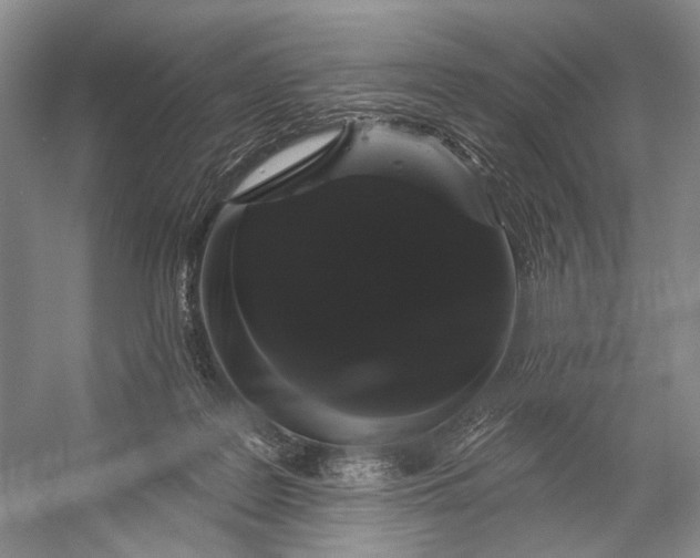 X0000056350219200509161810