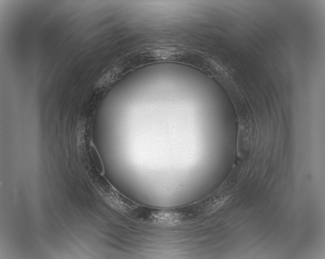 X0000056350221200509161810