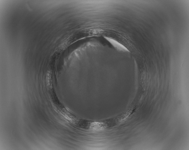 X0000056350222200509161810