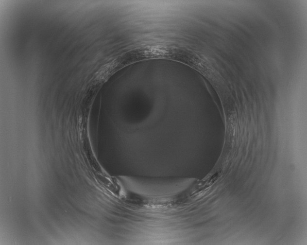 X0000056350223200509161810