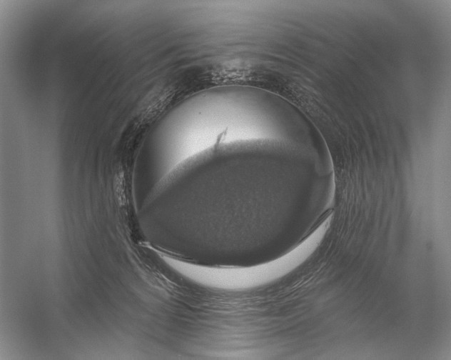 X0000056350224200509161810