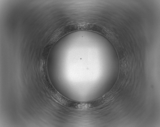 X0000056350225200509161810