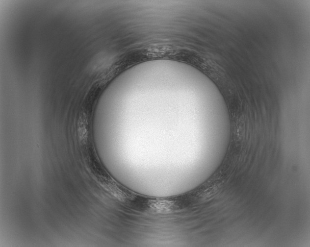 X0000056350226200509161810