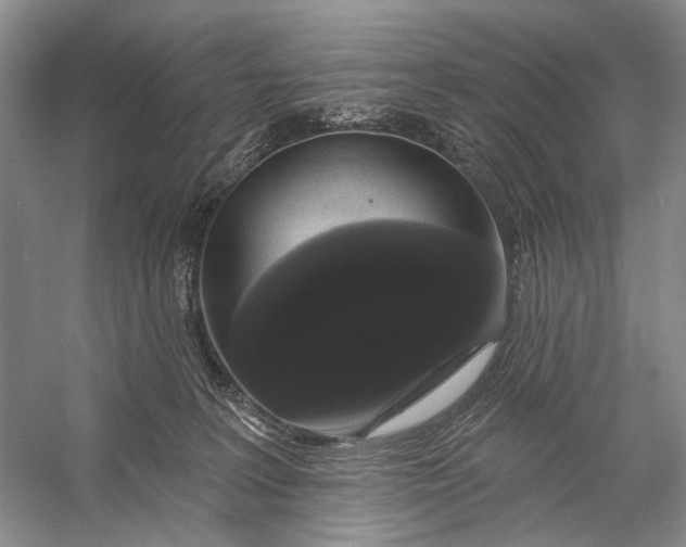 X0000056350227200509161810