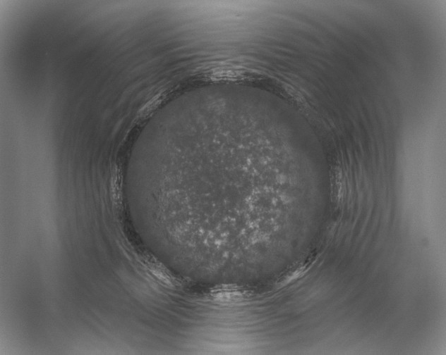 X0000056350228200509161810