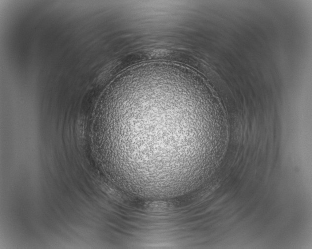 X0000056350230200509161810