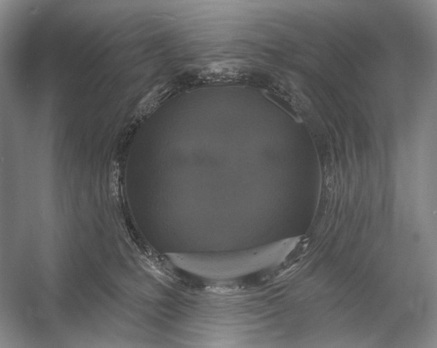 X0000056350231200509161810