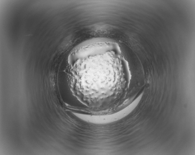 X0000056350232200509161810