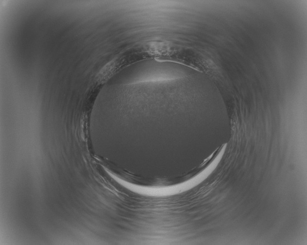 X0000056350233200509161810