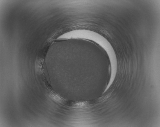 X0000056350237200509161810