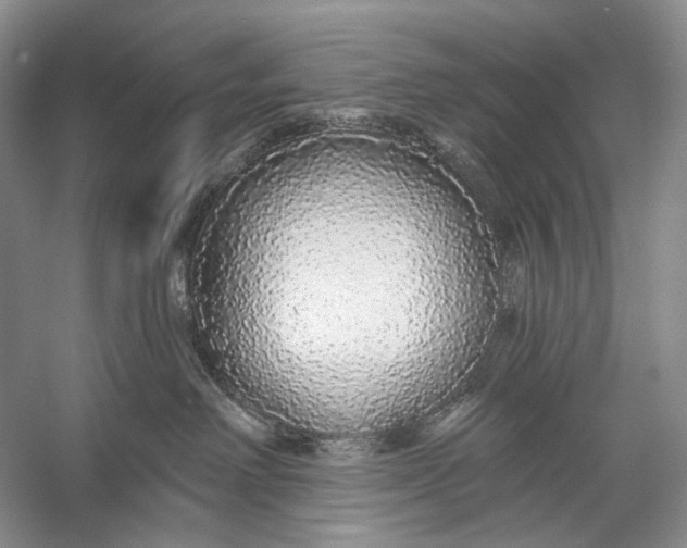 X0000056350238200509161810