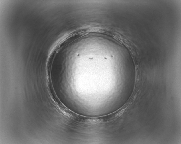 X0000056350245200509161809