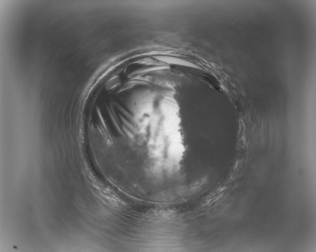 X0000056350247200509161809