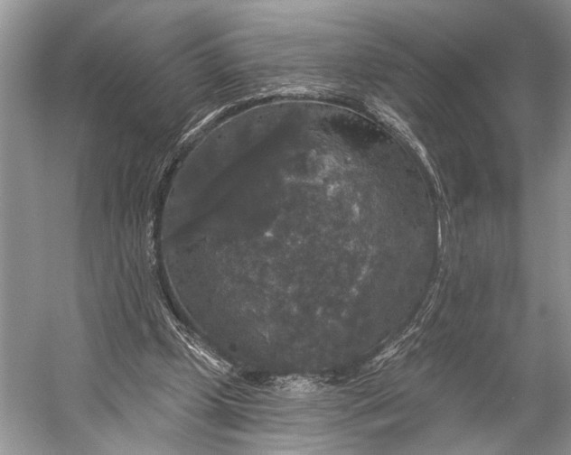 X0000056350249200509161809