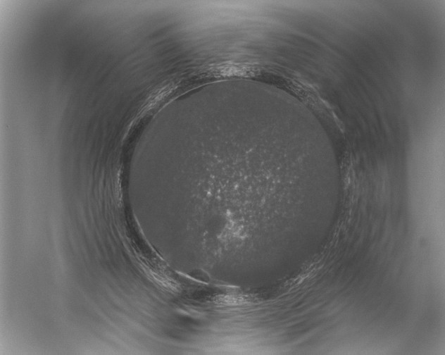 X0000056350250200509161809