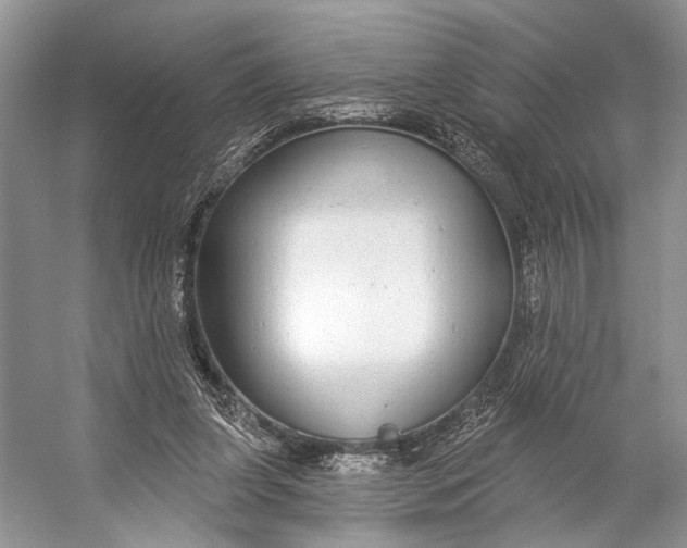 X0000056350255200509161809