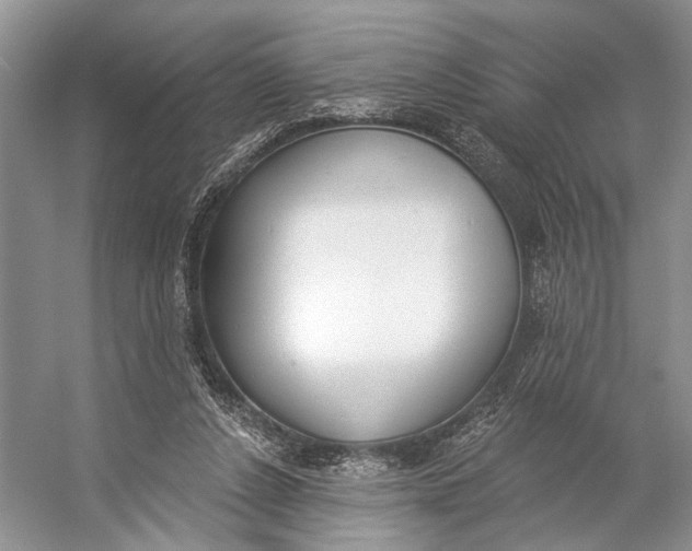 X0000056350256200509161809