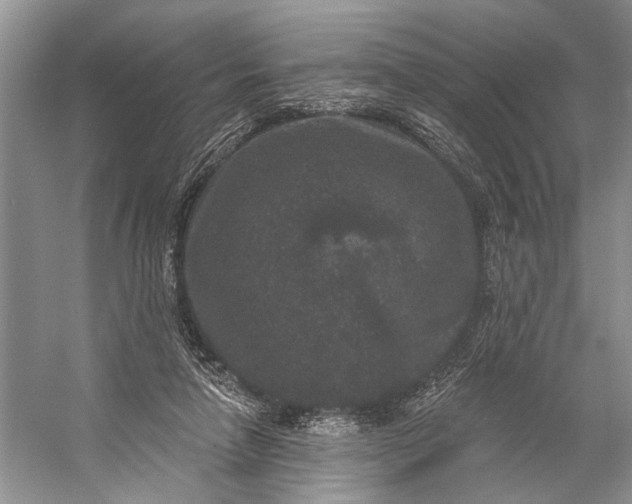 X0000056350258200509161809