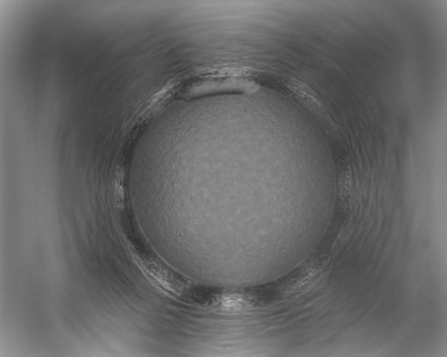 X0000056350264200509161809