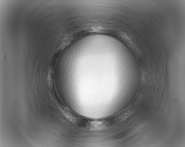 X0000056350265200509161809