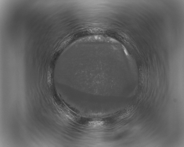 X0000056350266200509161809