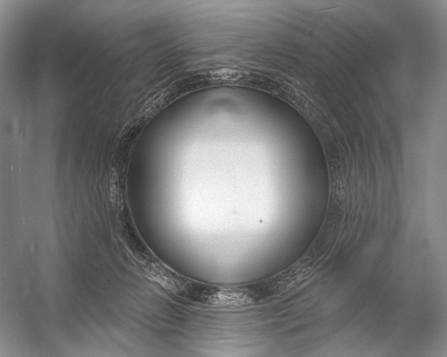 X0000056350270200509161810