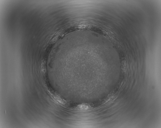 X0000056350272200509161810