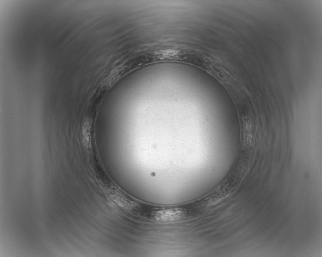 X0000056350274200509161810