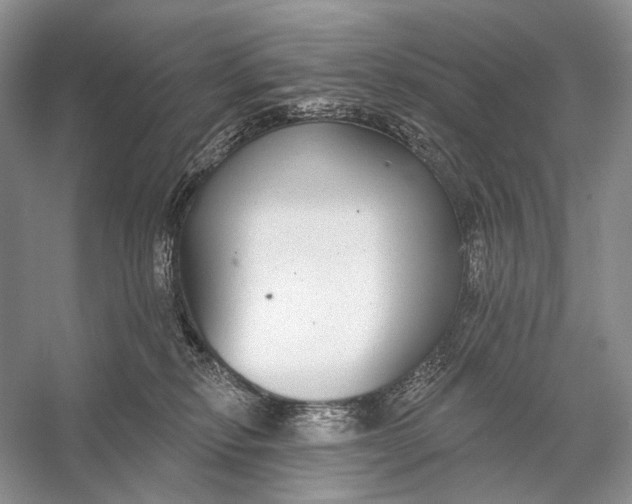 X0000056350278200509161810