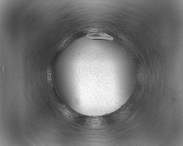 X0000056350282200509161810