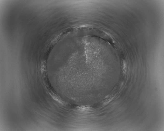 X0000056350284200509161810