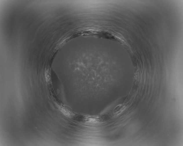 X0000056350285200509161810