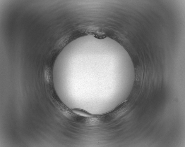 X0000056350287200509161810