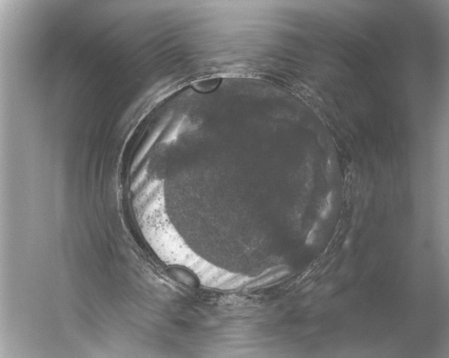 X0000056350290200509161809