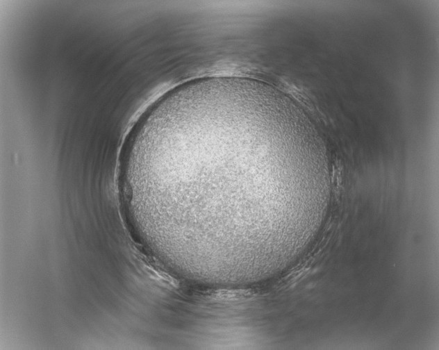 X0000056350292200509161809